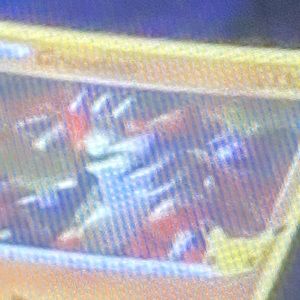 Meet your Posher, Diego